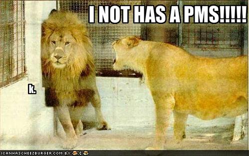 funny-pictures-girl-lion-yells-at-boy-lion